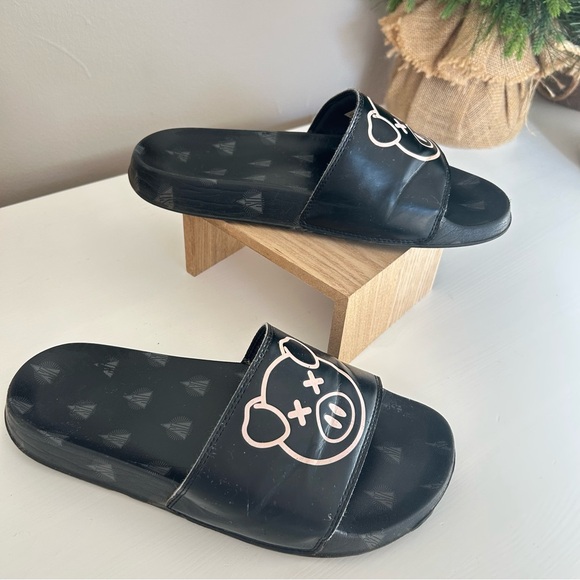 Slides - Picture 2 of 5